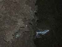 otta monte Cicirello-22042012 027